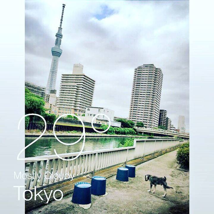 1b6f221e 32ef 4078 8b51 fb734f2489db