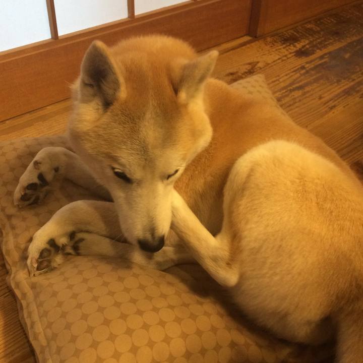 1b6f48ff 0e46 4475 9f35 cd4c39ad2f3b