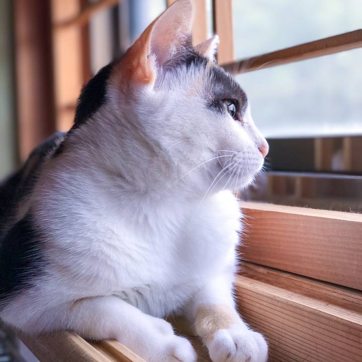 1b6fd350 7828 49b4 88d2 1a8873fa921c