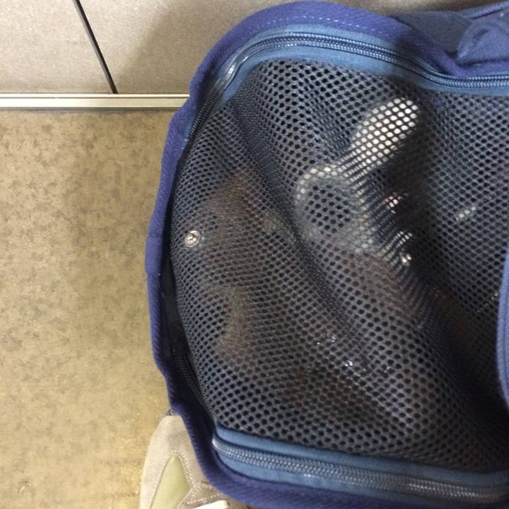 1b6ff21d c32c 4267 a11b 4b4752714e89