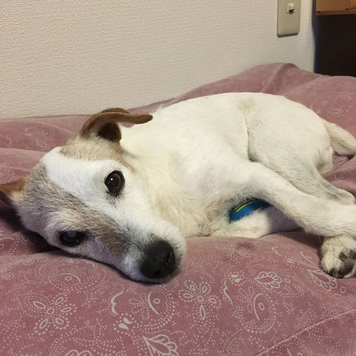 1b702662 1ea7 4a45 bcf5 079a54ff4669