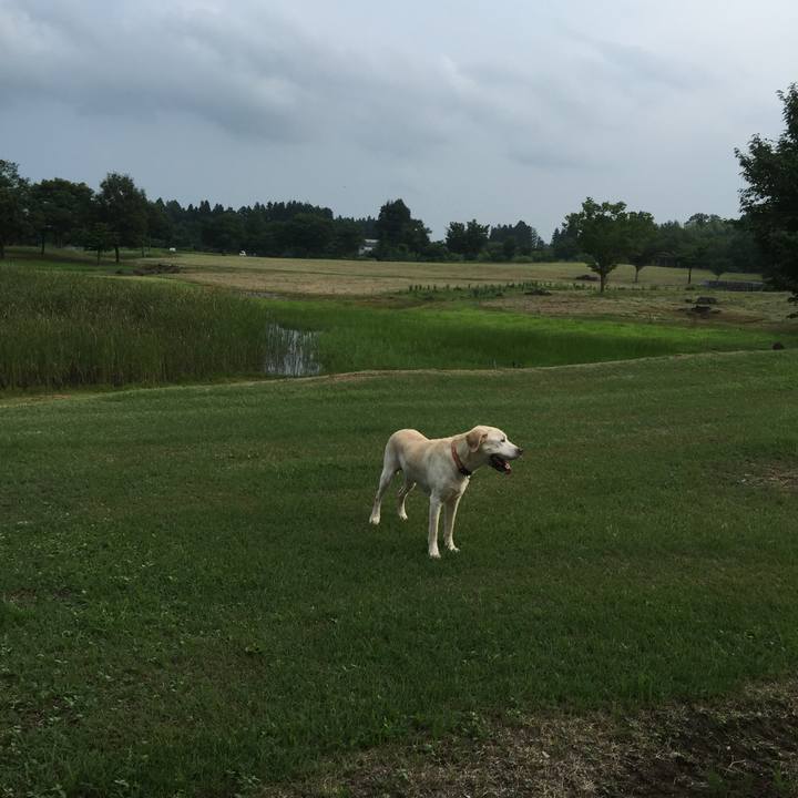 1b703283 aa62 459e 8ecf f526e07748a1