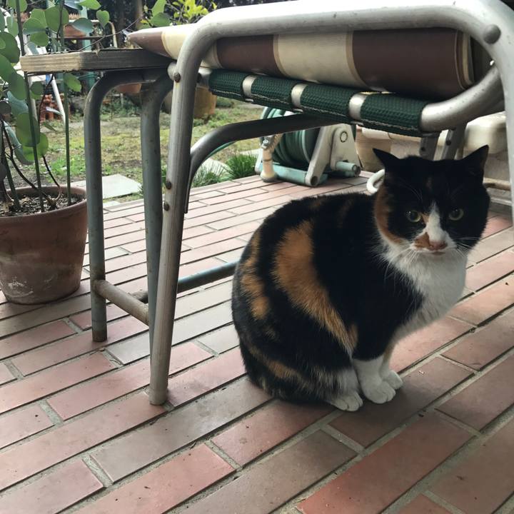 1b70541e ad69 4979 a17b 55f778afacff