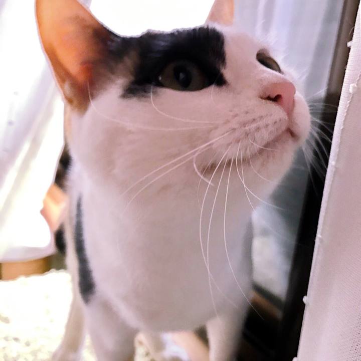 1b709f2f b0d8 457b 968c 6ad35921cce6