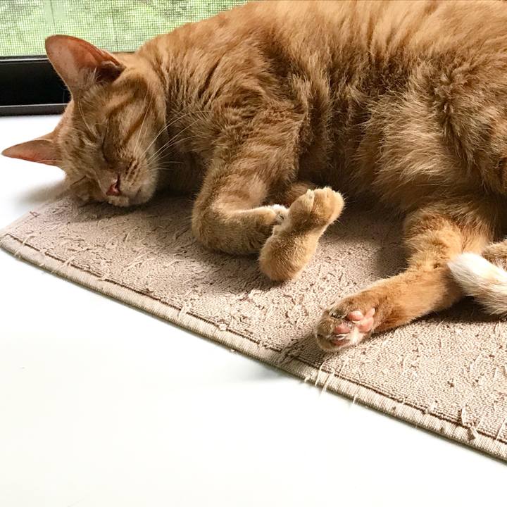 1b70d406 5467 45ef 8268 ffcef87c0eff