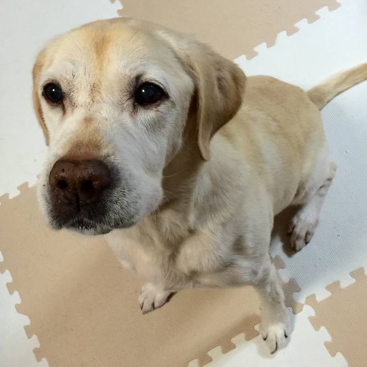 1b71b353 a927 48ef 9141 274eed61444d