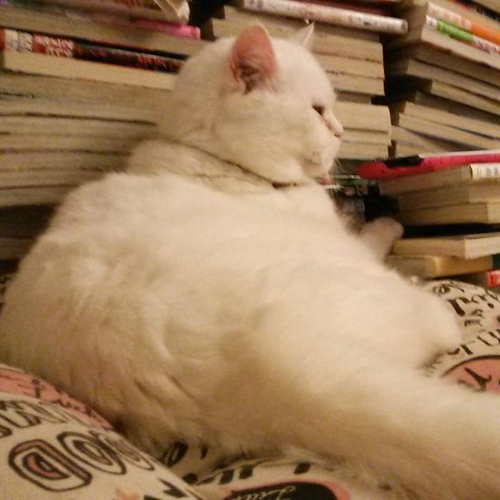 1b71e6ef d009 4f94 9c41 c61e3244e6dd