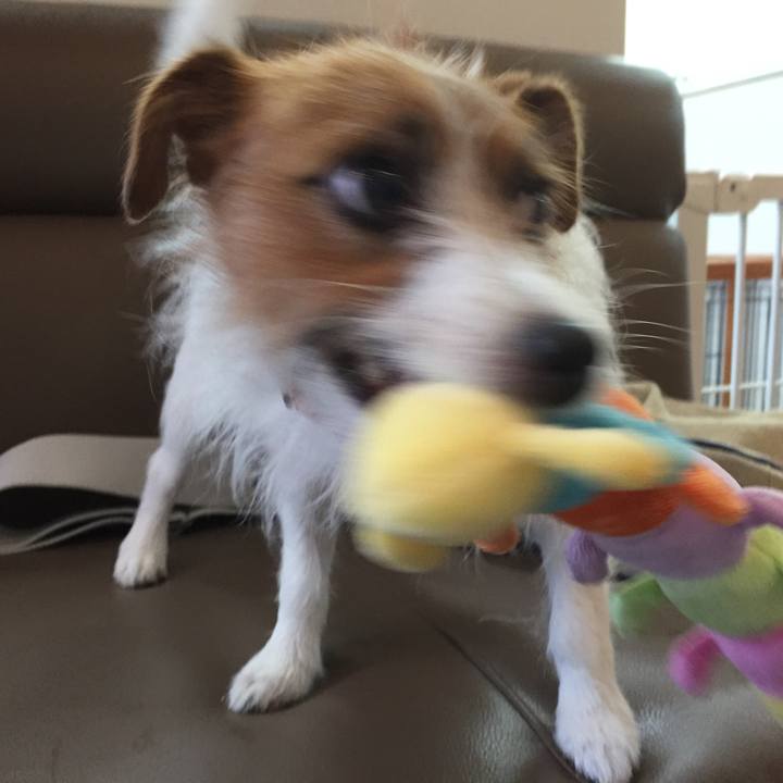 1b727929 b30f 42b3 82cc fdab733b7748