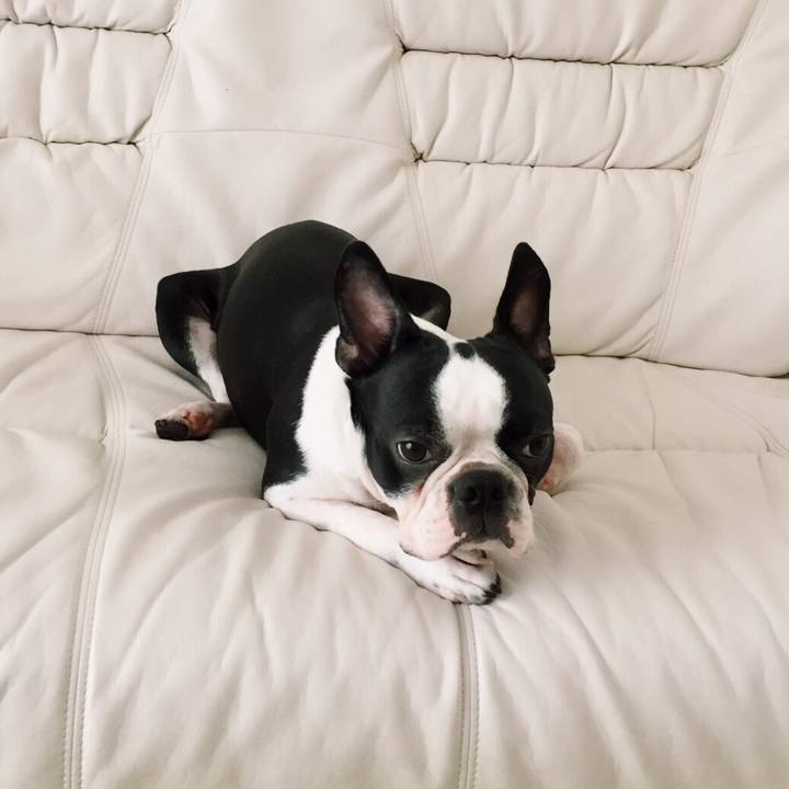 1b72d956 7bed 48f3 bff1 a300c2d7c765