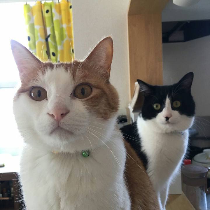 1b735d04 53a7 436a aef1 8e31a249607d