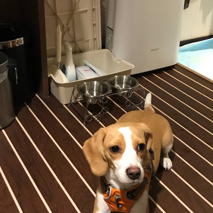 1b736938 f3f7 4ca6 800f 92237e6a3677