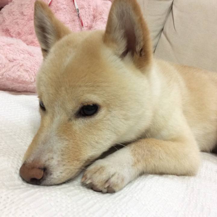 1b73a58d ac97 4183 bc50 1cc01f2f6bb5