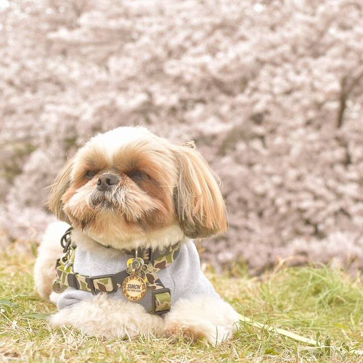 1b74026f e79b 4102 aeab 8f3874b1c73d