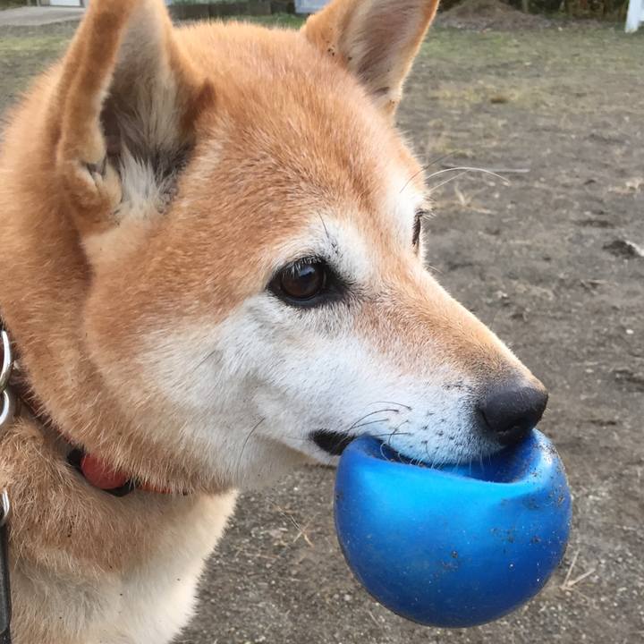 1b7402ba b651 47bd 922e 79e90feb8e9a