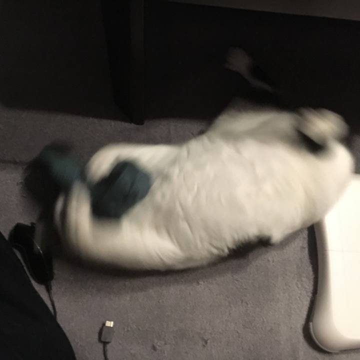 1b747cf8 822f 4640 b9c4 ea5ff76c8dde