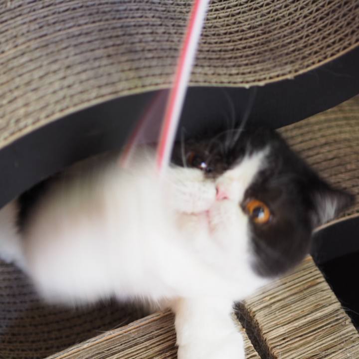 1b748465 f651 4f77 a67e c4575acd48ec