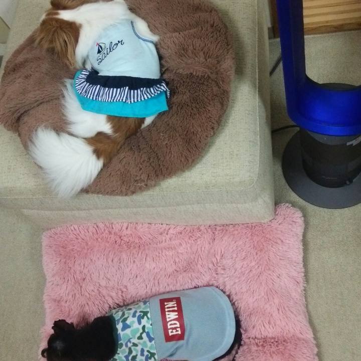 1b749e0b 9cb9 46a2 8894 4ba0fd15948e