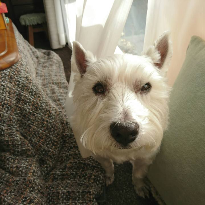 1b7532fb cc27 4b78 8689 5358a55a82ef