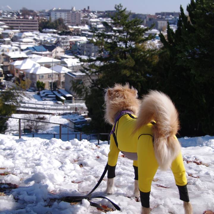 1b758acf a85e 4d4f 88a1 7e5eba9a94fe