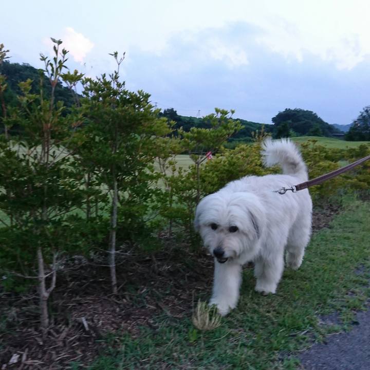 1b758bb5 91fc 4fd0 957c a4da30fc1b4a