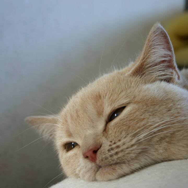 1b762b25 4e19 4209 a1ba df5263b88d61