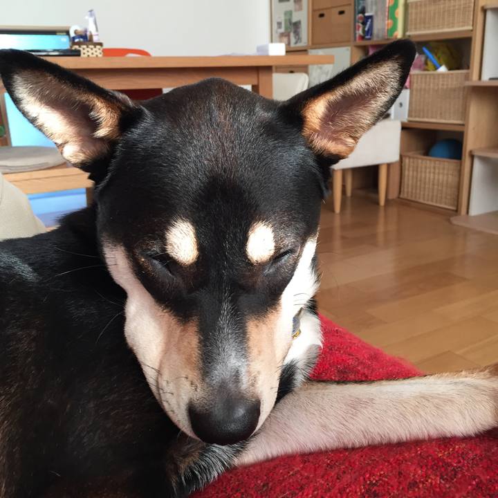 1b769943 e71e 4626 9a3a 4806f4e5a806