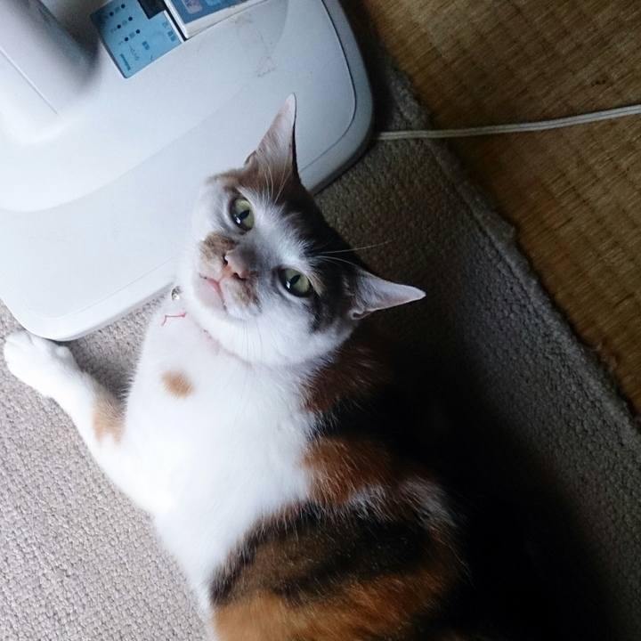 1b77a6ee fcba 48ac 8635 272c5259182e