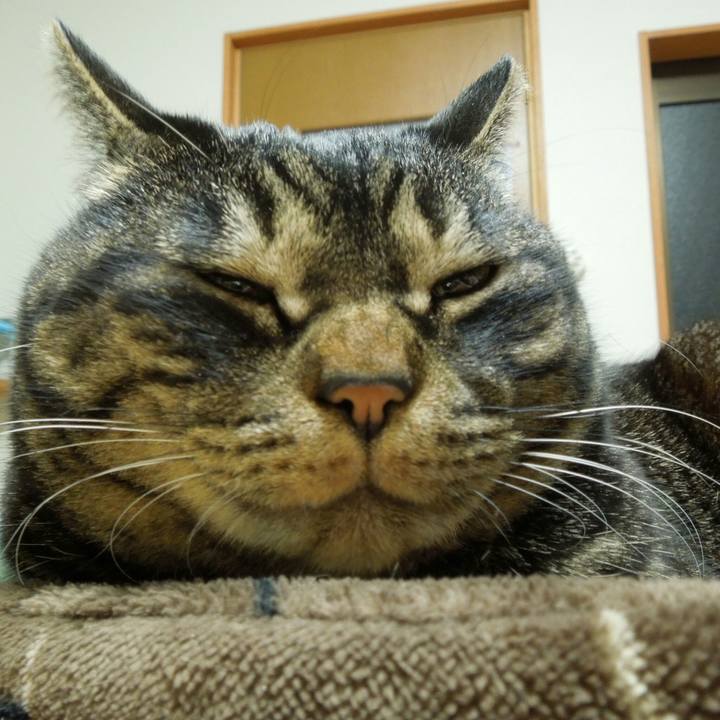 1b77bd83 ed69 47ab 9983 5efe0d010f75