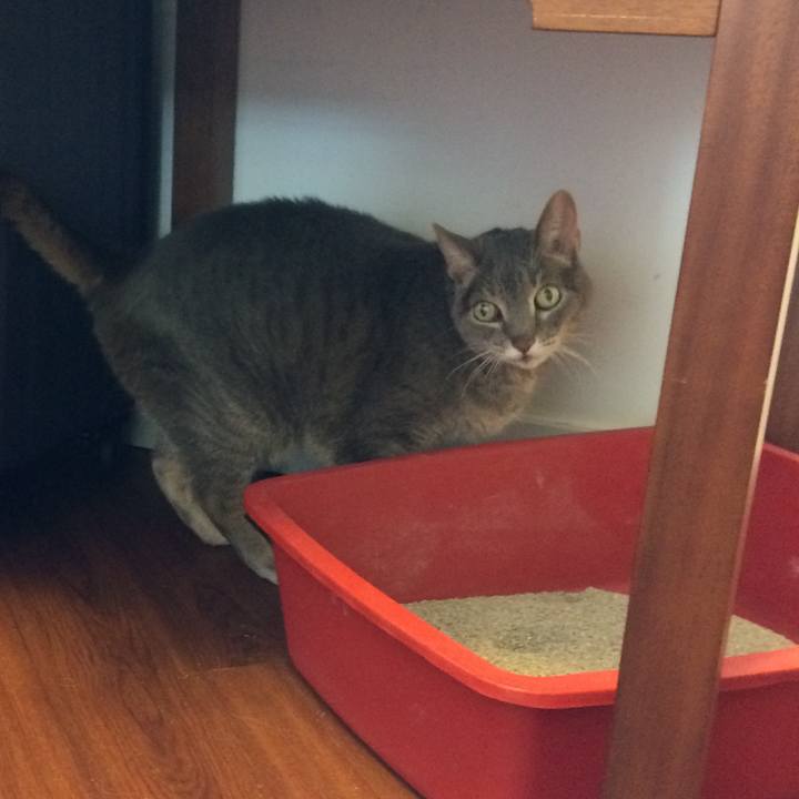 1b77d733 d1a3 4589 ba52 7c8f3ff843f6