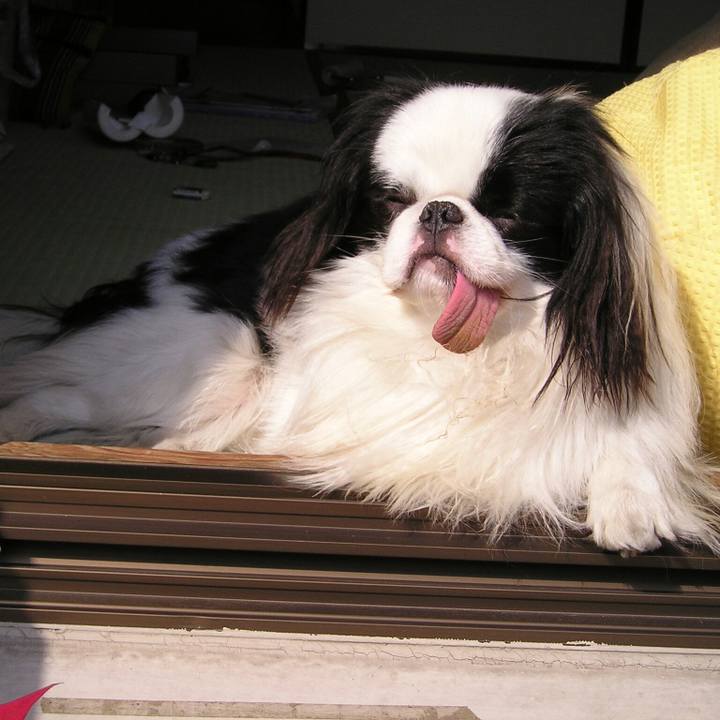 1b788635 3768 44b4 9af7 85335e4ba6de