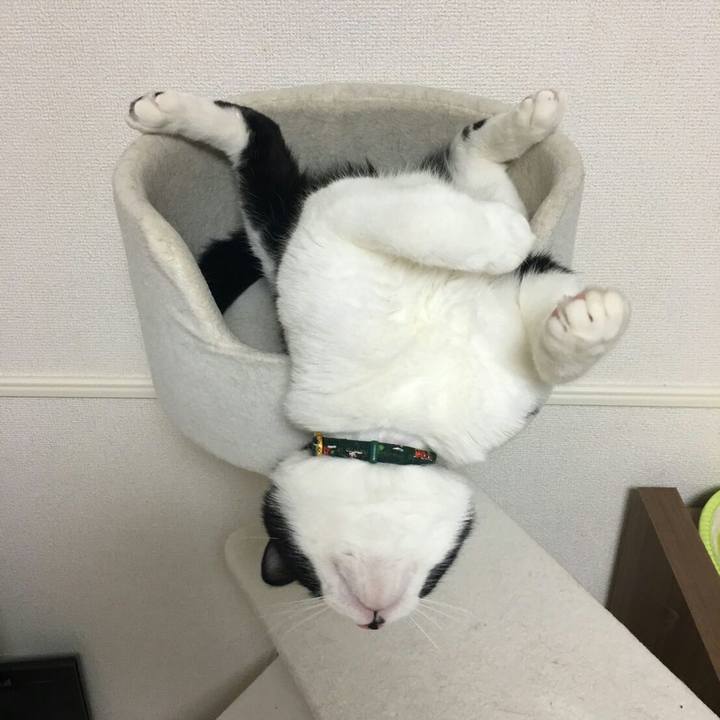 1b78da1a 5d22 4b93 8e28 8b315b56437f