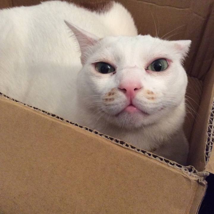 1b78dd8e bce1 45b1 b031 a2f9027e661d