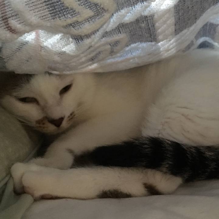 1b797bf0 7fb9 467e a75e bb2e3312a166