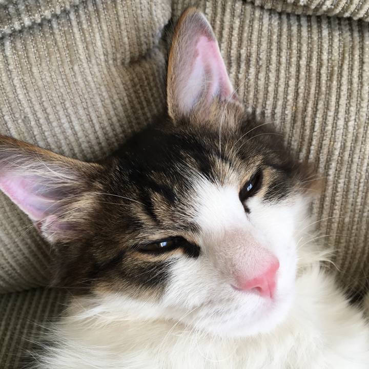 1b79adf2 8af1 4f5e a021 81a1e0e080d5