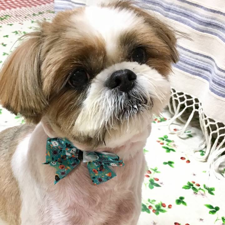 1b7afdb1 d825 4371 9415 aebd53ff0215