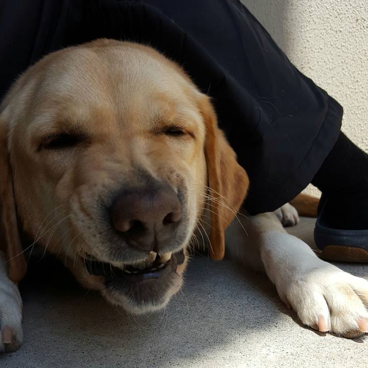 1b7cd096 bf2c 421f 86c5 550b1ae33660