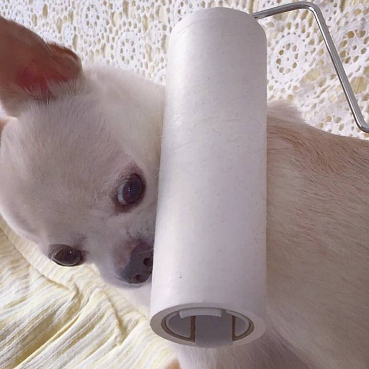 1b7cf15f 40cb 4fce a7be ff326dee798d