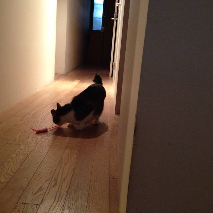 1b7d0e88 2a86 4c47 981c bc3769aad5df