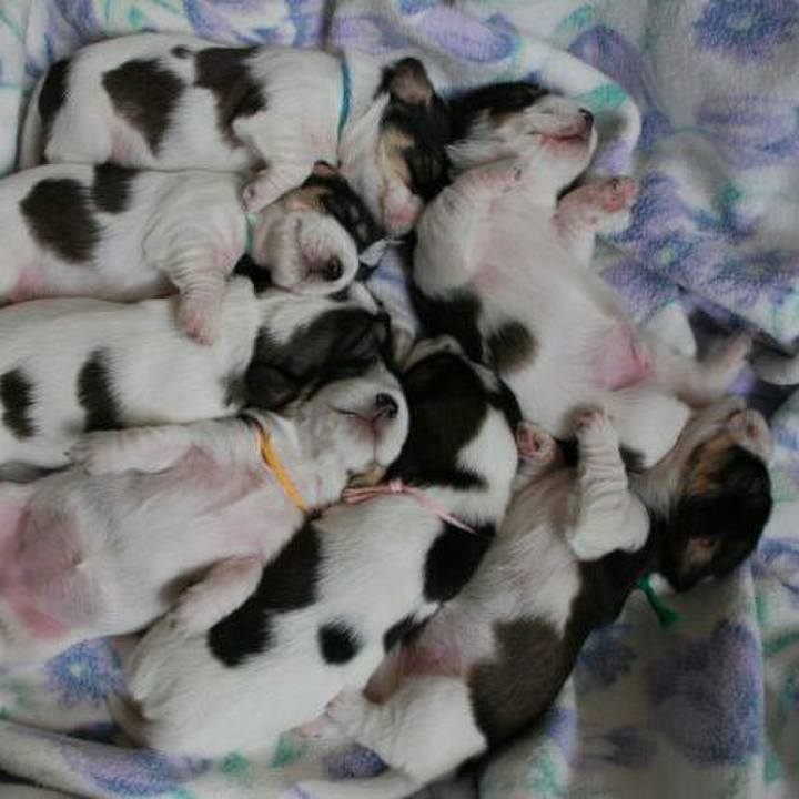 1b7d2713 54b2 4c8c 800e 42c81256c748