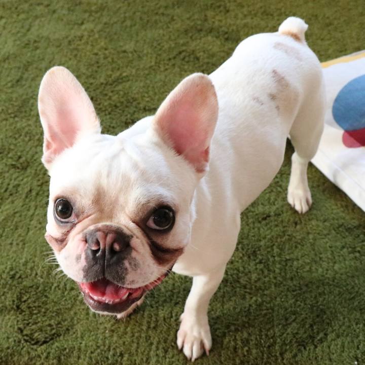 1b7d4fac 7746 4d2e befe 6af44ca32679