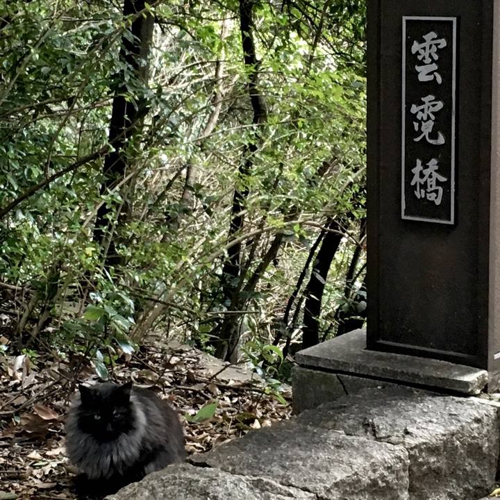 1b7dcd56 111a 4583 827a 6a8078e94e3d