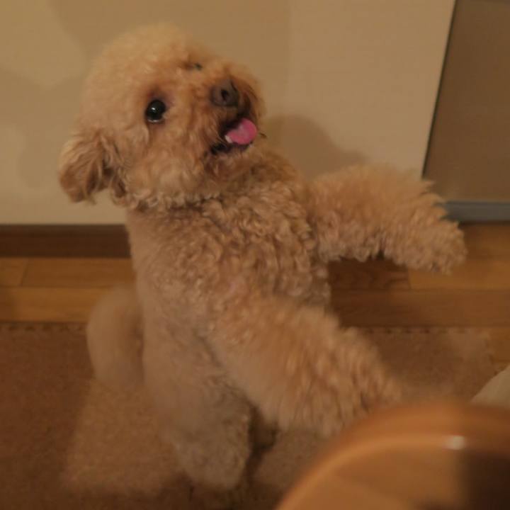 1b7deb02 fd20 417d a3c6 e7e5ab050149