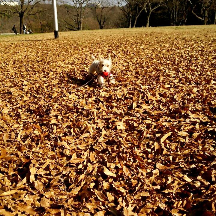 1b7e230d f9ba 430d b6a1 a22cb821200e