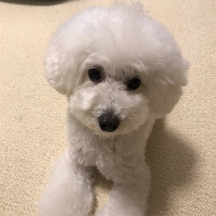 1b7e2b31 052b 4c04 9e69 8867f80cd2f2