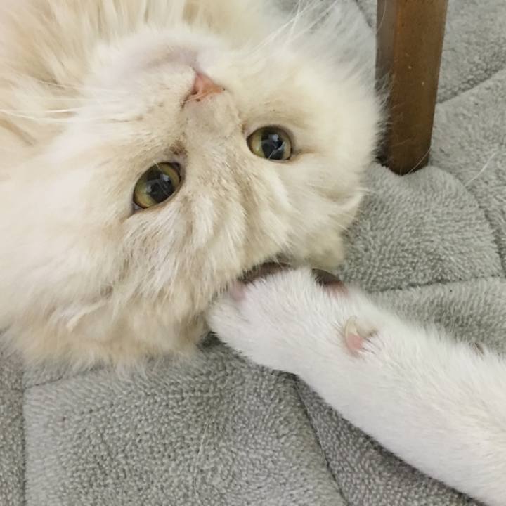 1b7e6b30 4a64 4bc7 97cb 6c6b0c90e956