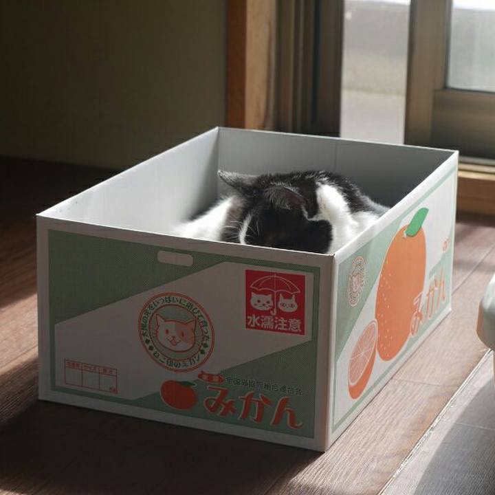 1b7ec12b 6bfe 4380 bacd 7f8b1c8752f8