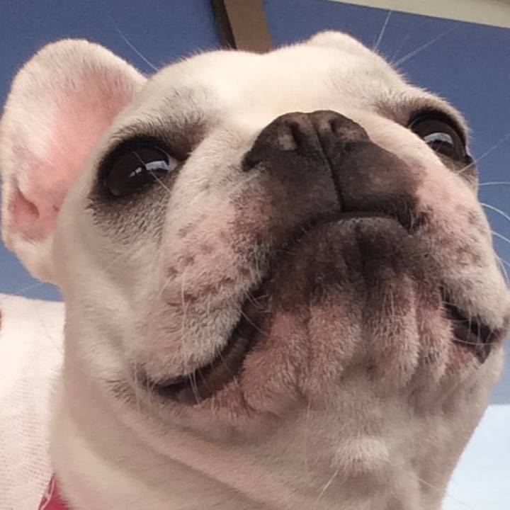 1b7f16e5 cb64 4837 a5c7 d491c7d0dda4