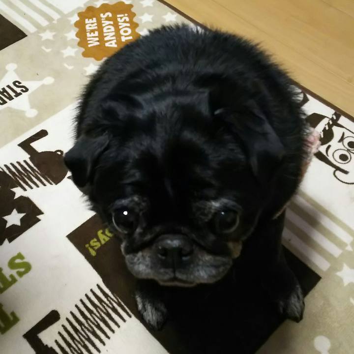 1b7f229a 84fa 4307 a4a1 309653750826