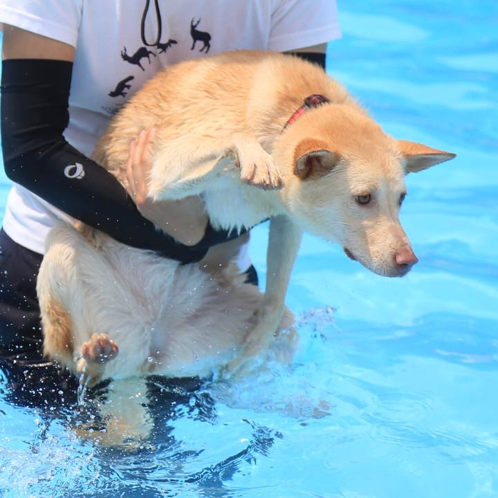 1b7f80f9 a2f9 4a06 a95d e53aa7c59b81