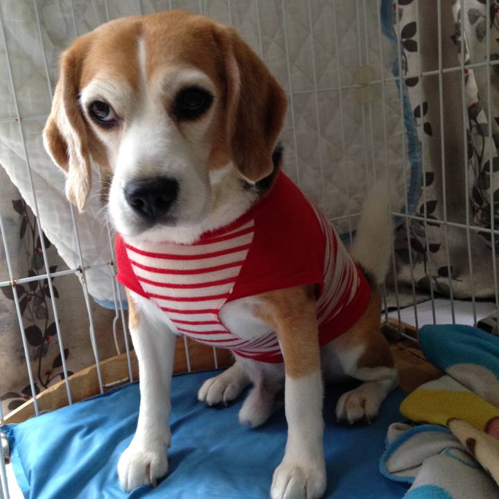 1b7fa671 922a 40c5 abb4 c4d263a6f4b4